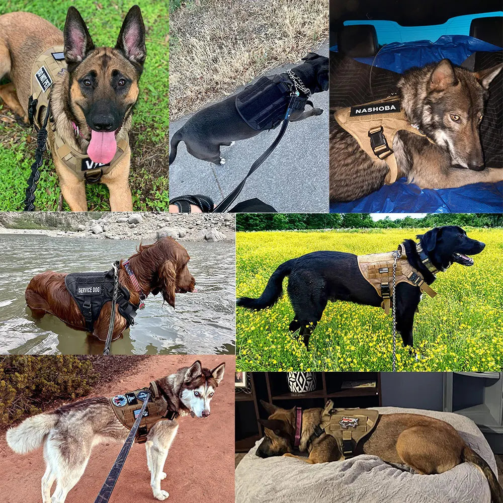 RuckPup Tactical Dog Harness Kit